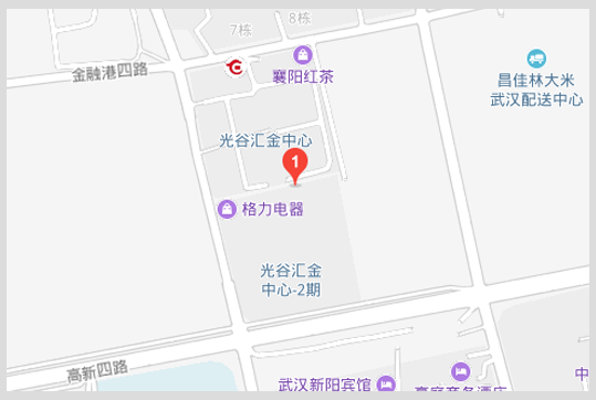湖北省武汉市江夏区金融港四路十八号汇金中心9A栋